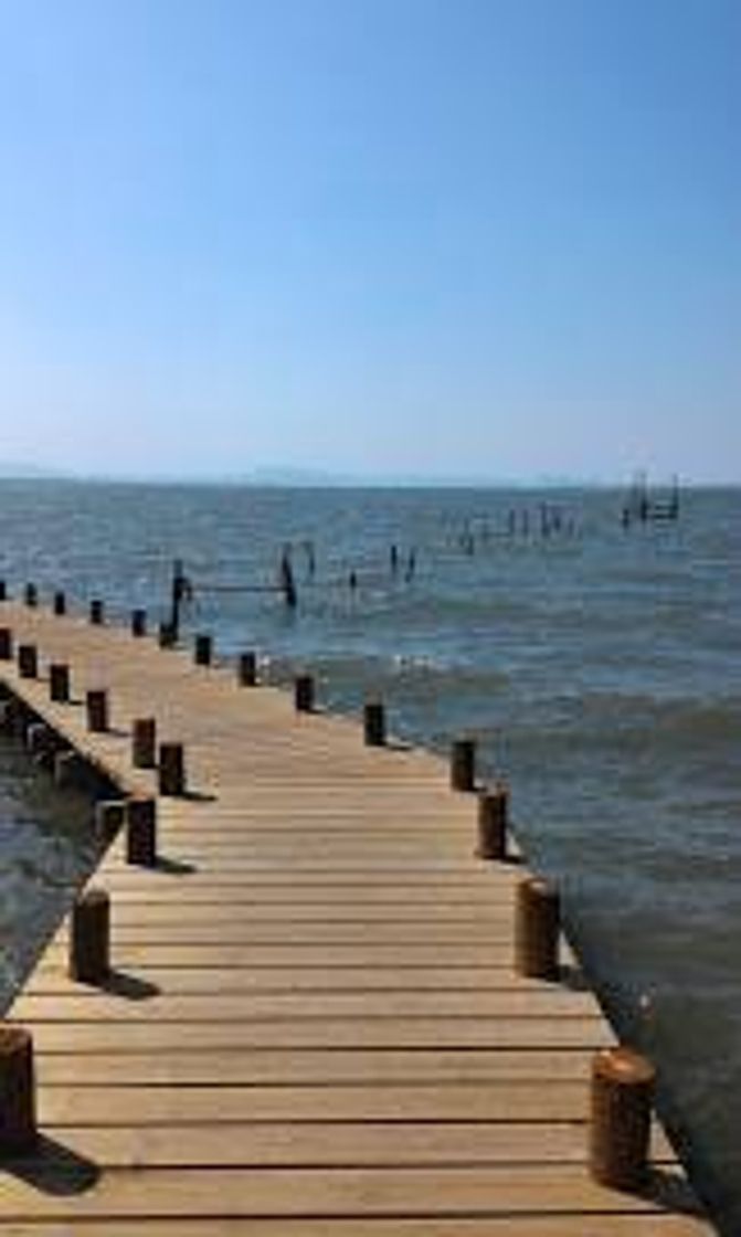 Lugar Reserva natural del Estuario del Sado