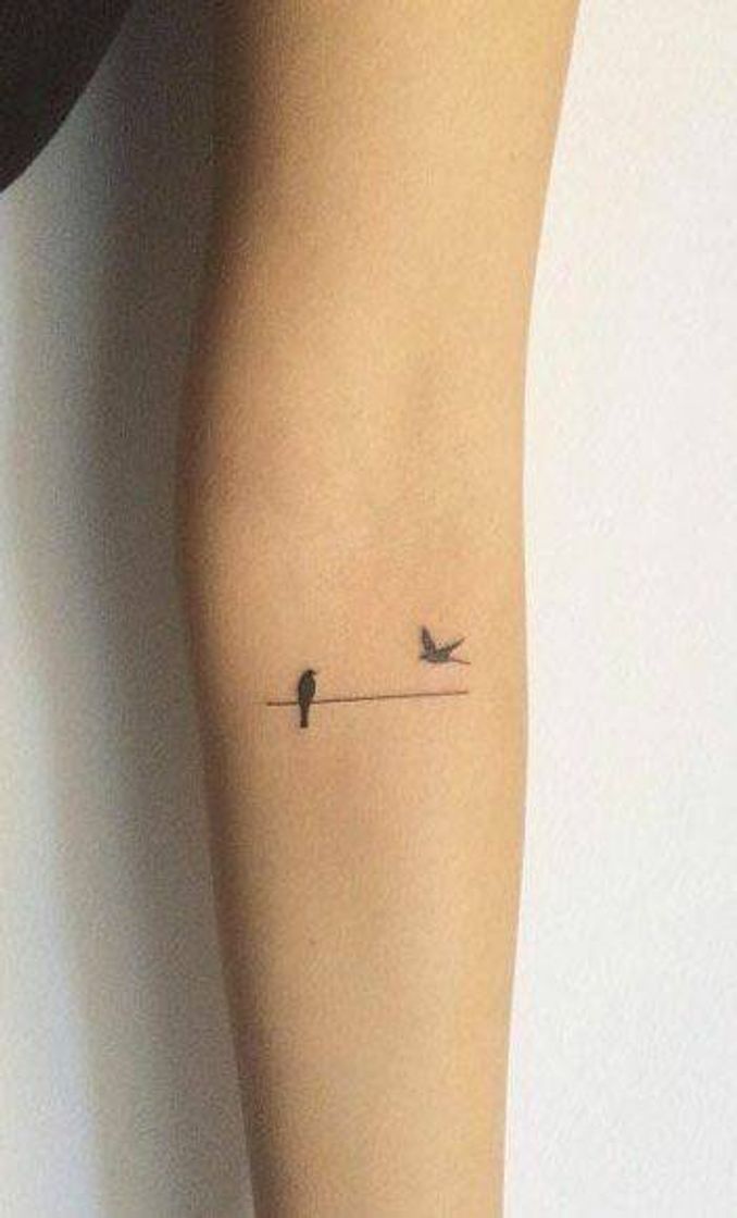 Moda Tatuagem de pássaros 