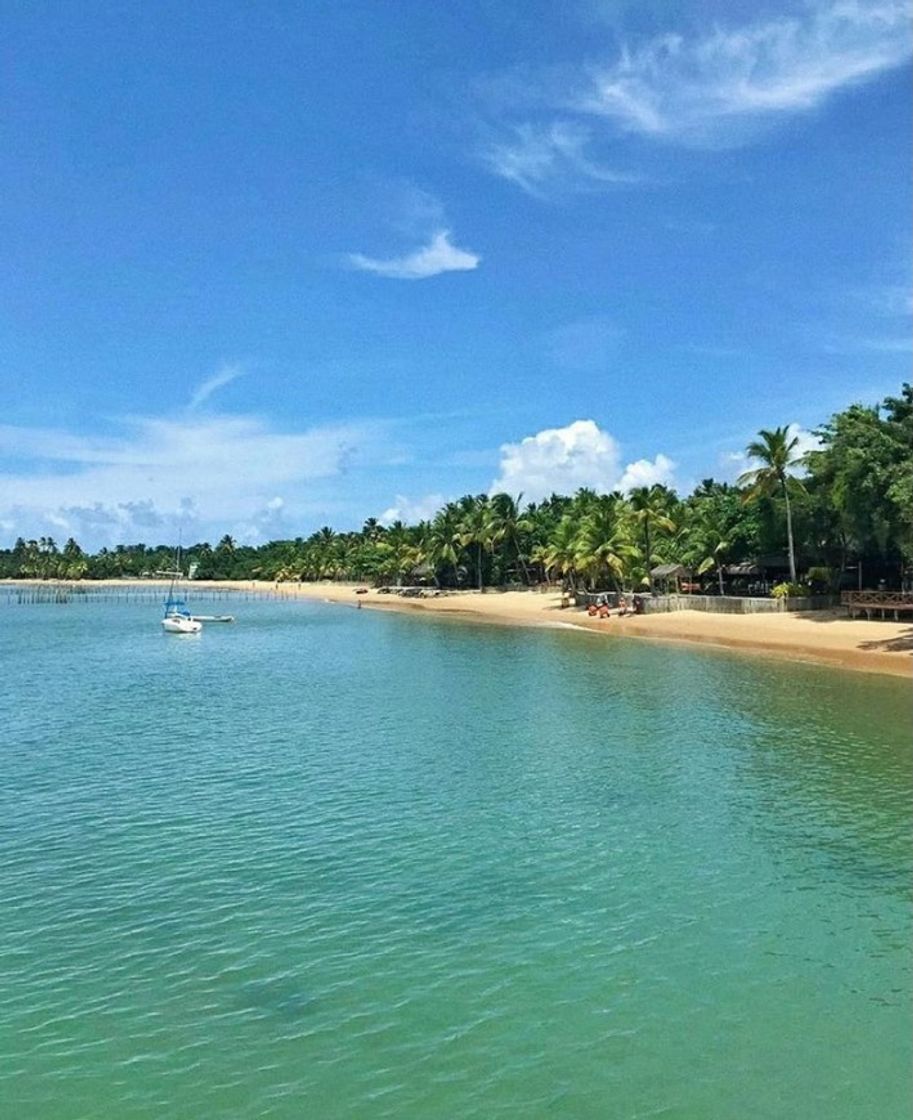 Place Praia De Barra Grande