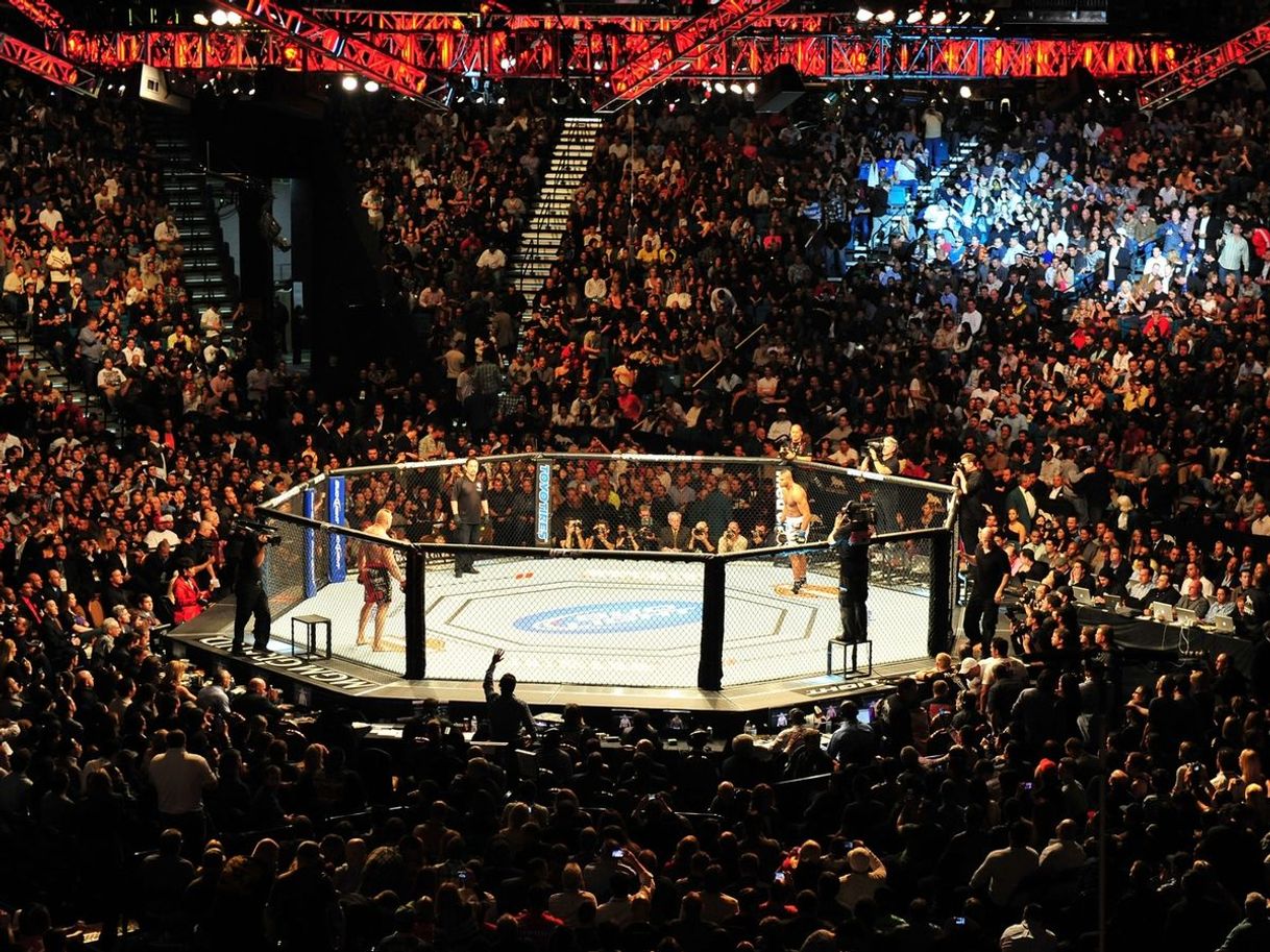 Lugar UFC