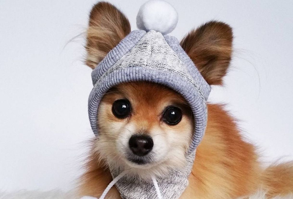 Un video muy interesante? 