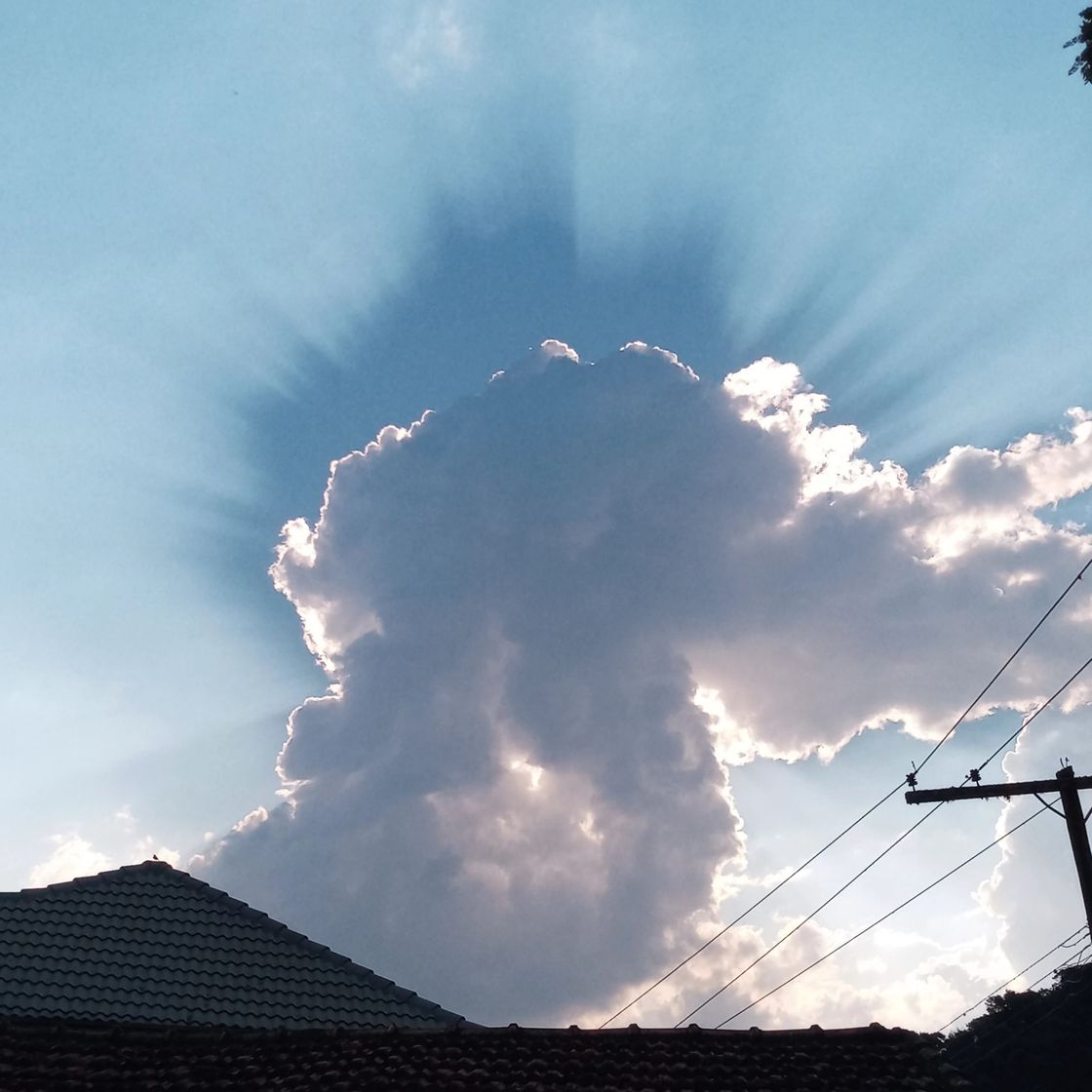 Fashion Sinais no céu do Brasil 