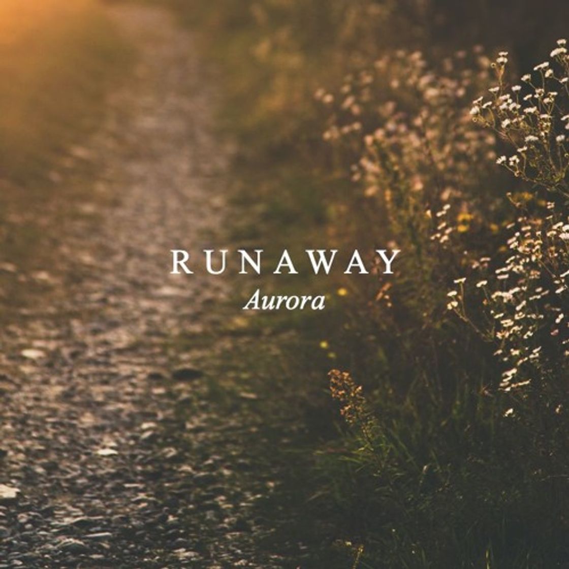 Canción Runaway