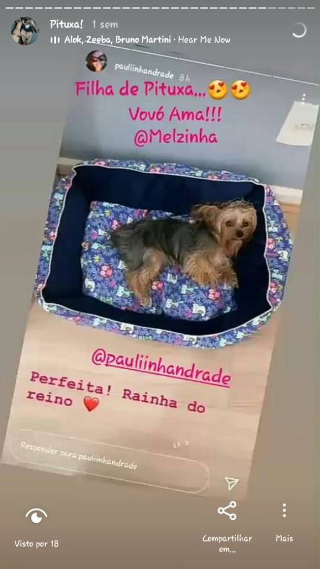 Social Melzinha filha de Pituxa!😍