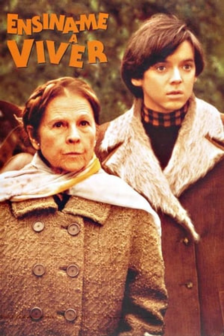 Película Harold y Maude