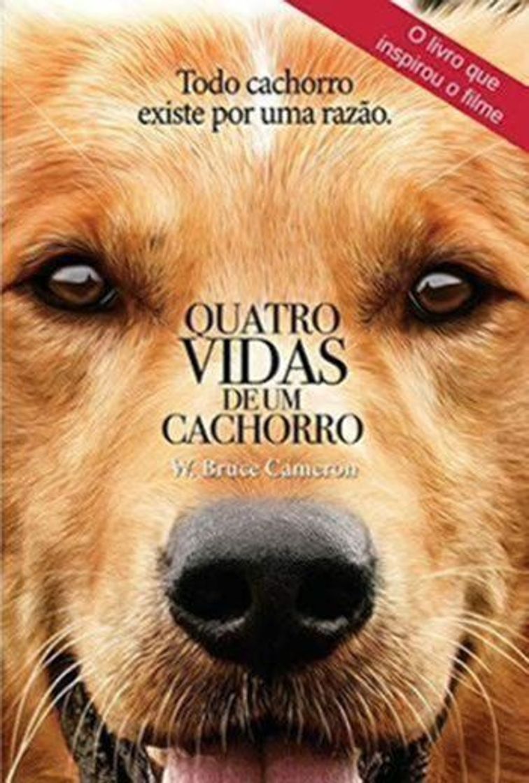 Libro Quatro Vidas de Um Cachorro