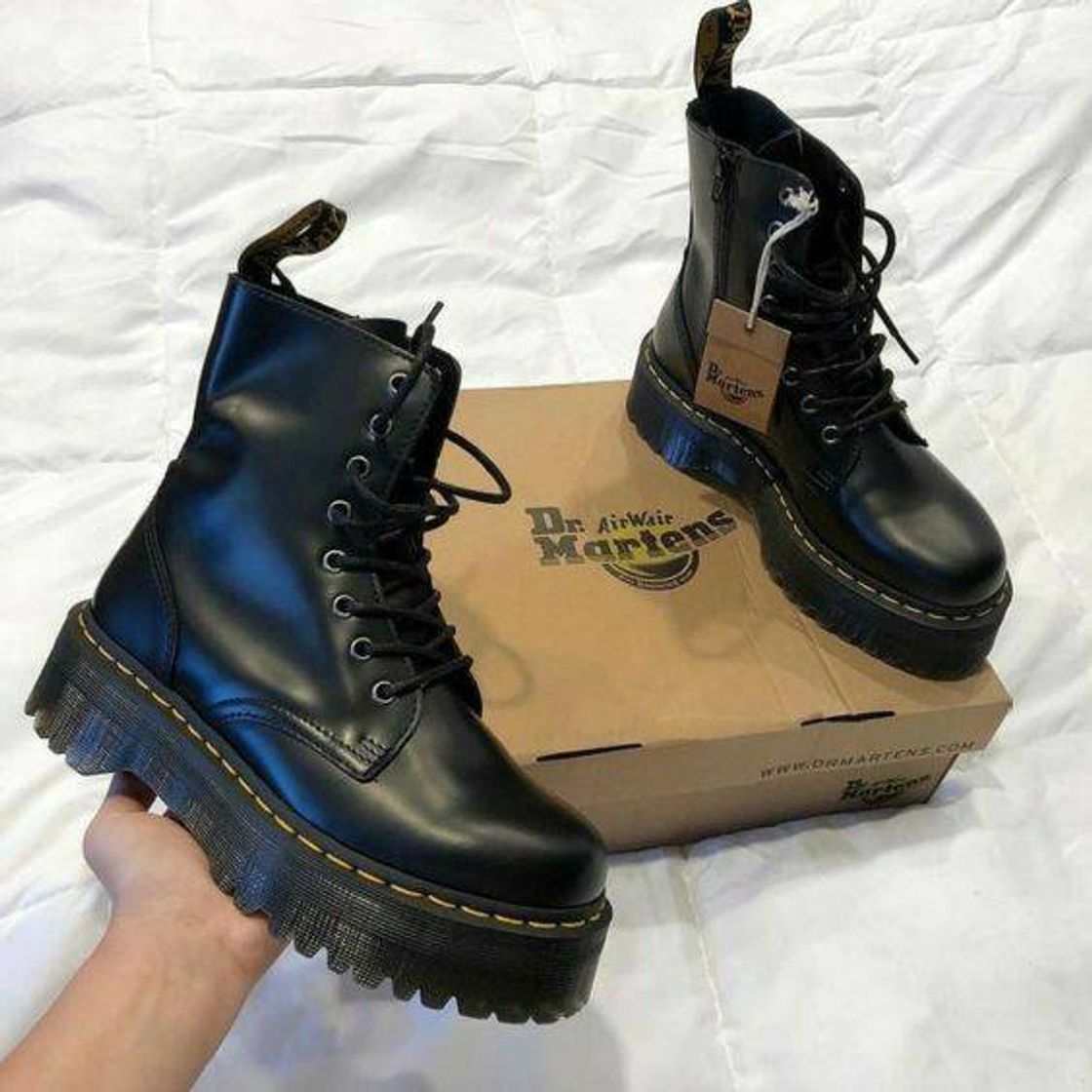 Social Bota punk