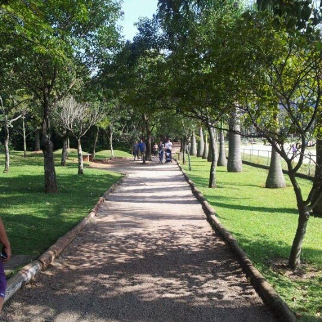 Place Parque Vila Guilherme - Trote