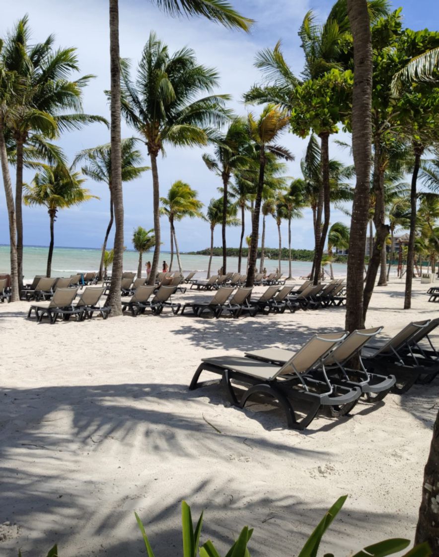 Place Riviera Maya