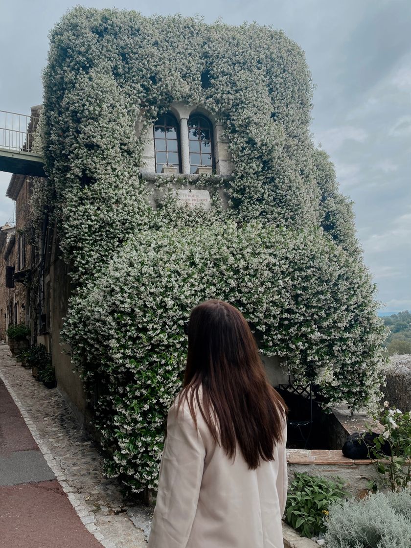 Lugar Saint-Paul-de-Vence