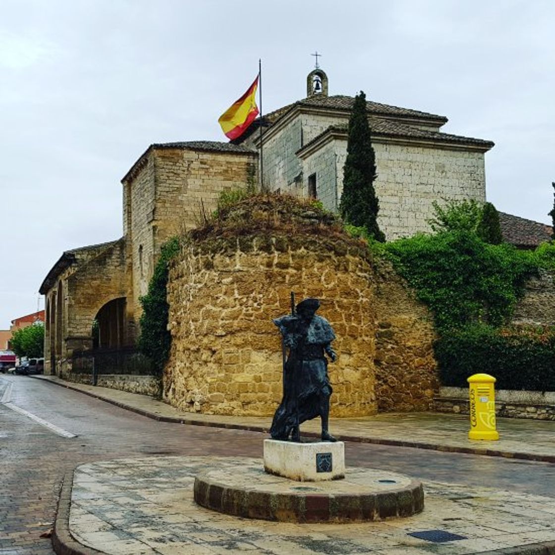 Place Carrión de los Condes