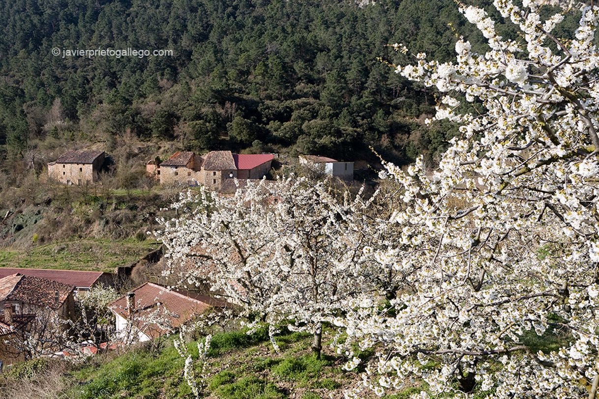 Place Valle de Caderechas