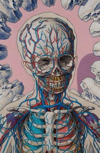 Anatomia wallpaper