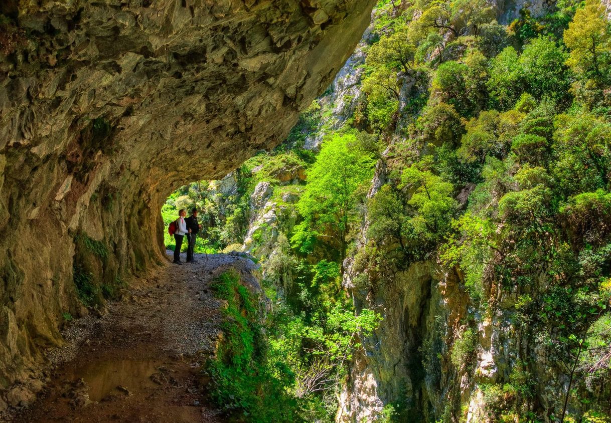 Lugar Ruta del Cares