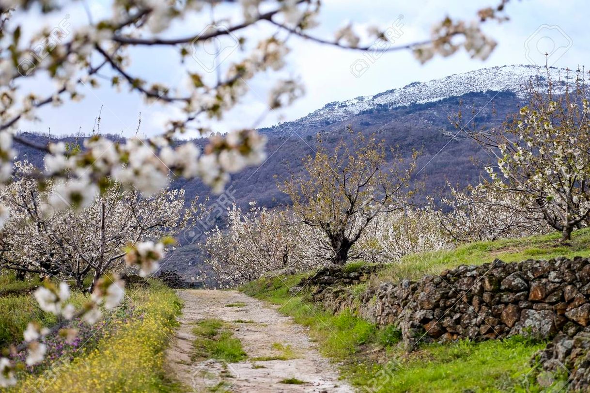 Lugar Valle del Jerte