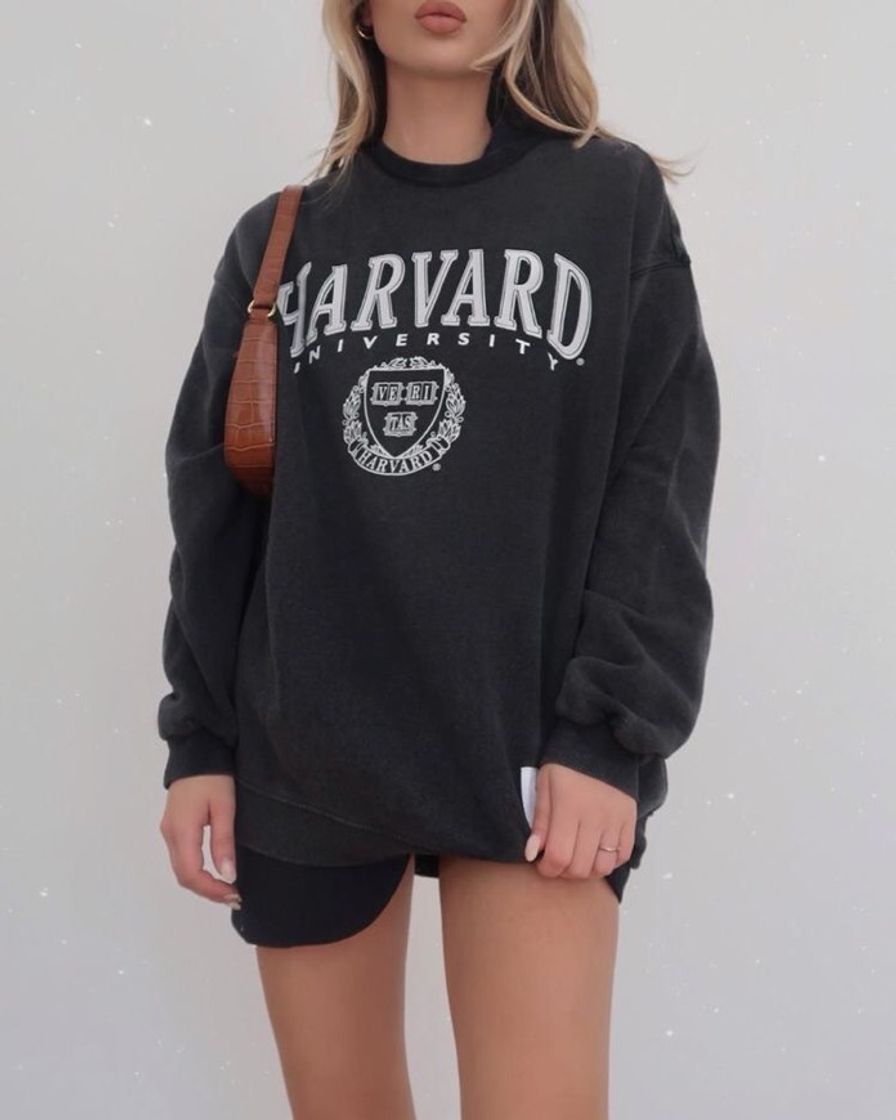 Fashion Harvard