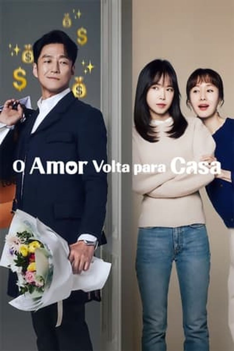 Serie El amor vuelve a casa