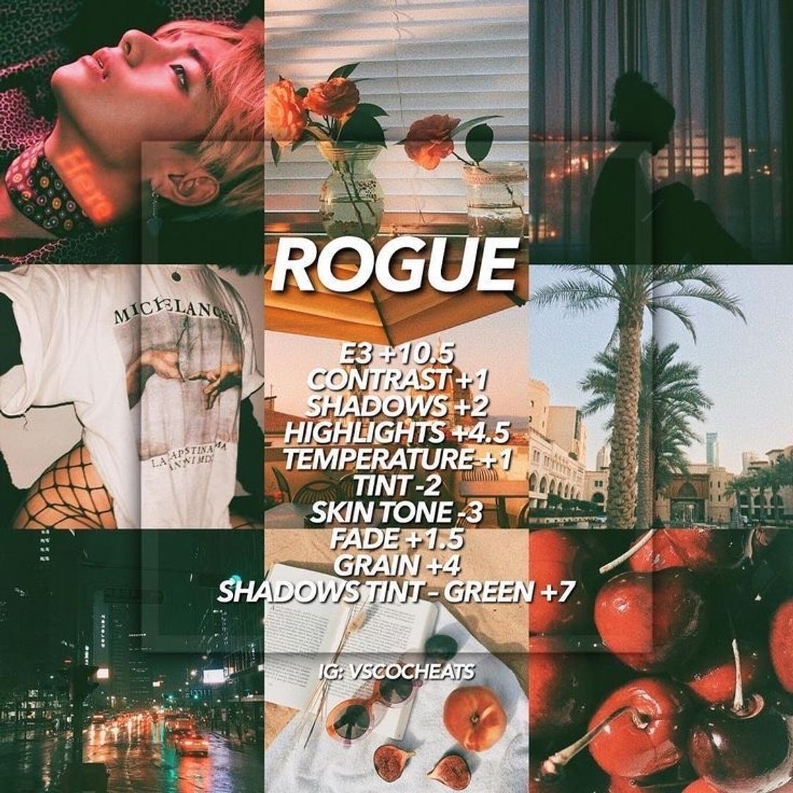 Social Rogue