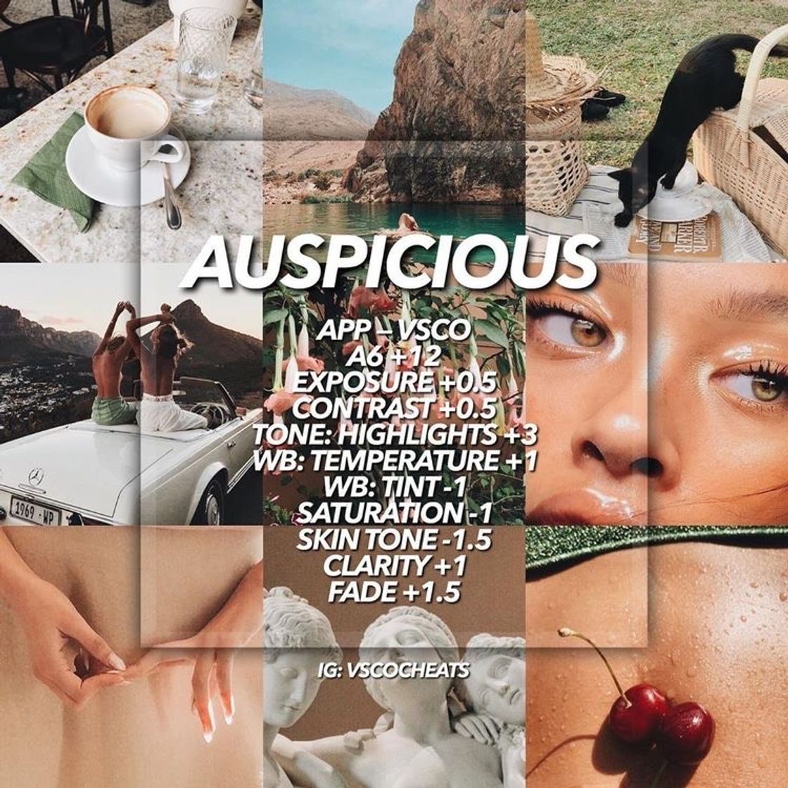 Social Auspicious