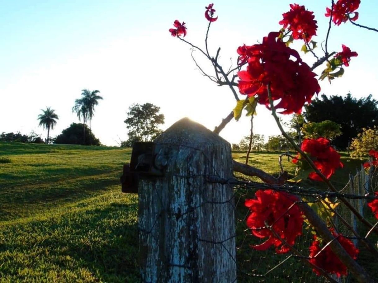 Social Maravilha Dívida 😍