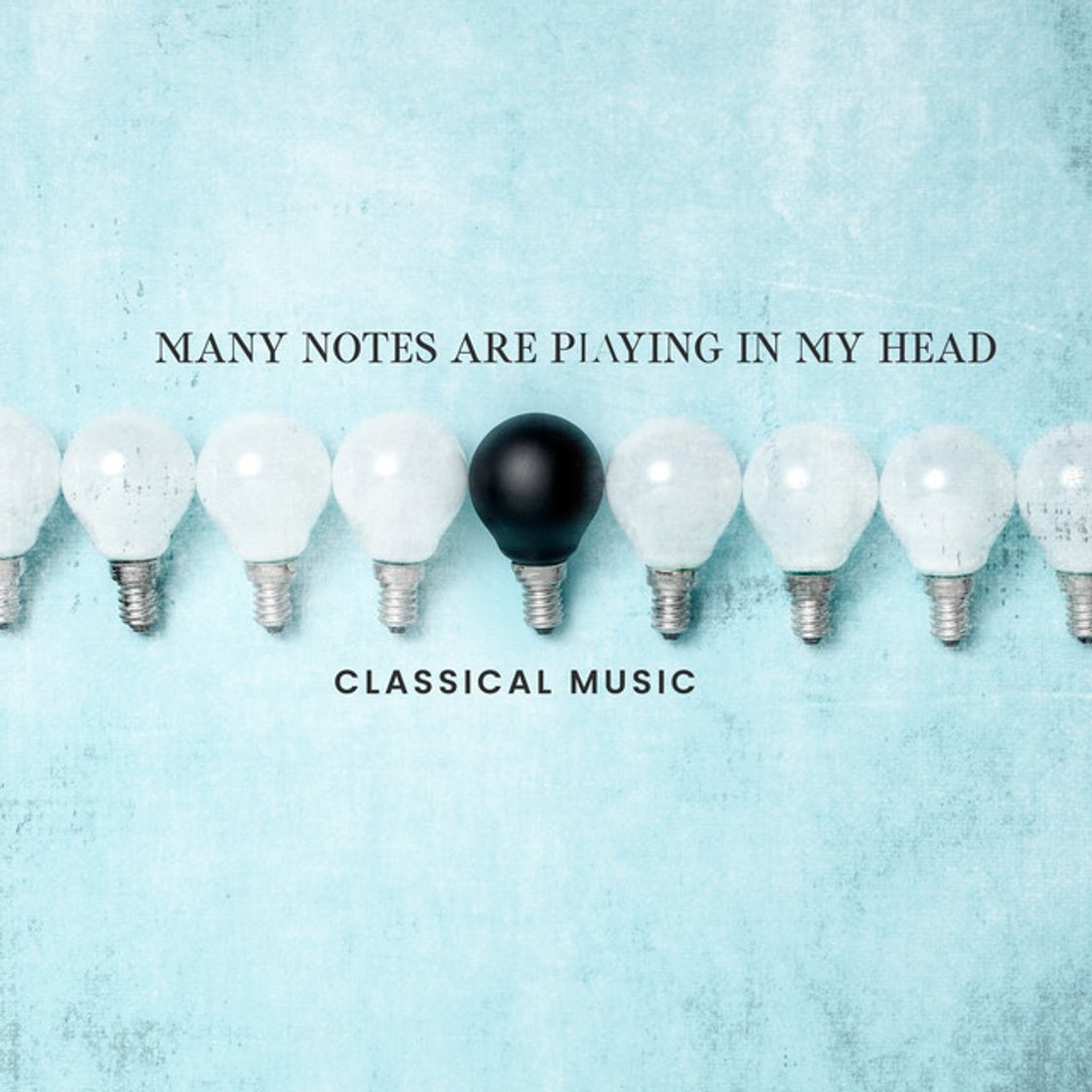 Music The Swan By Camille Saint-Saens