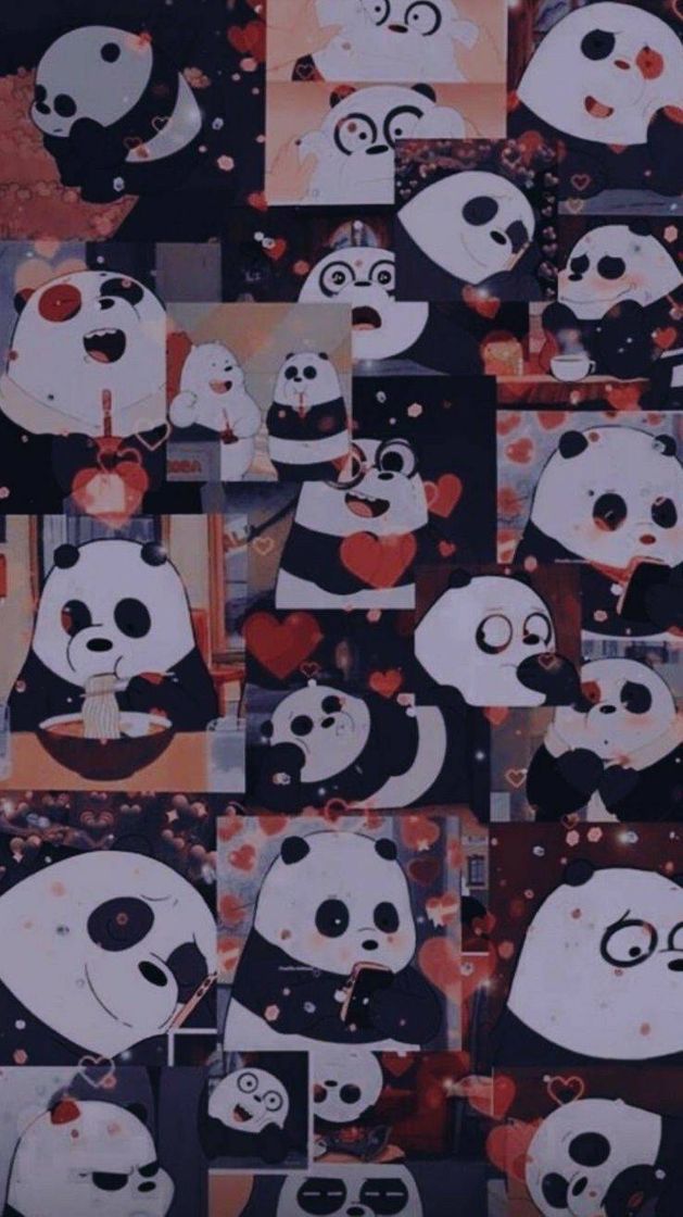 Moda Wallpaper do Panda de "Urso sem curso"