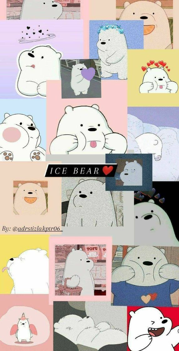 Moda Wallpaper do Polar de "Urso Sem Curso"