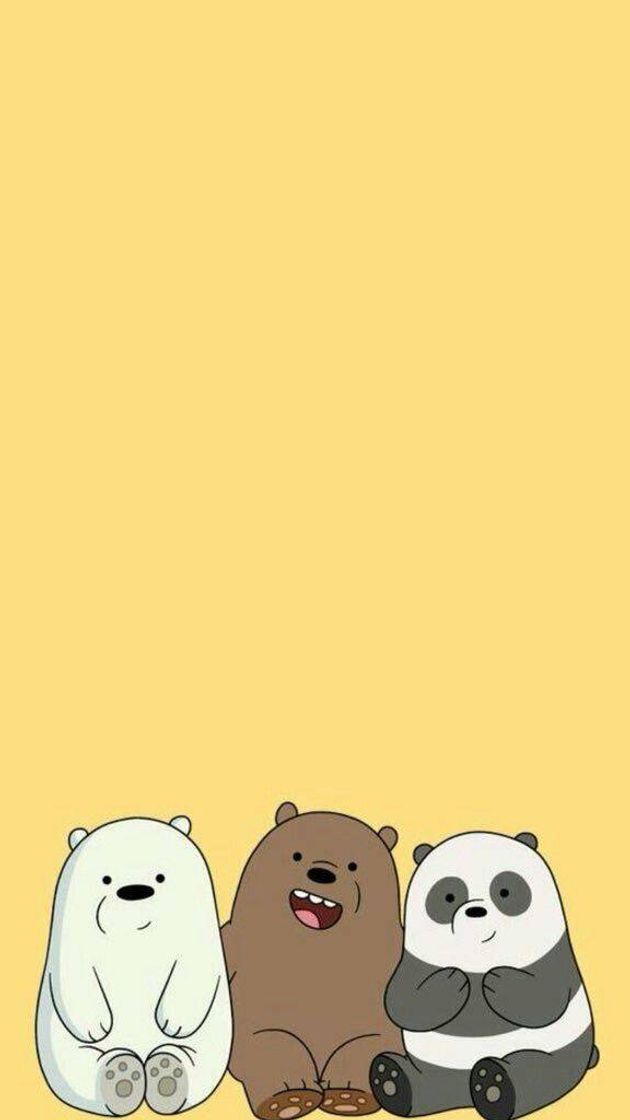 Social Urso sem curso