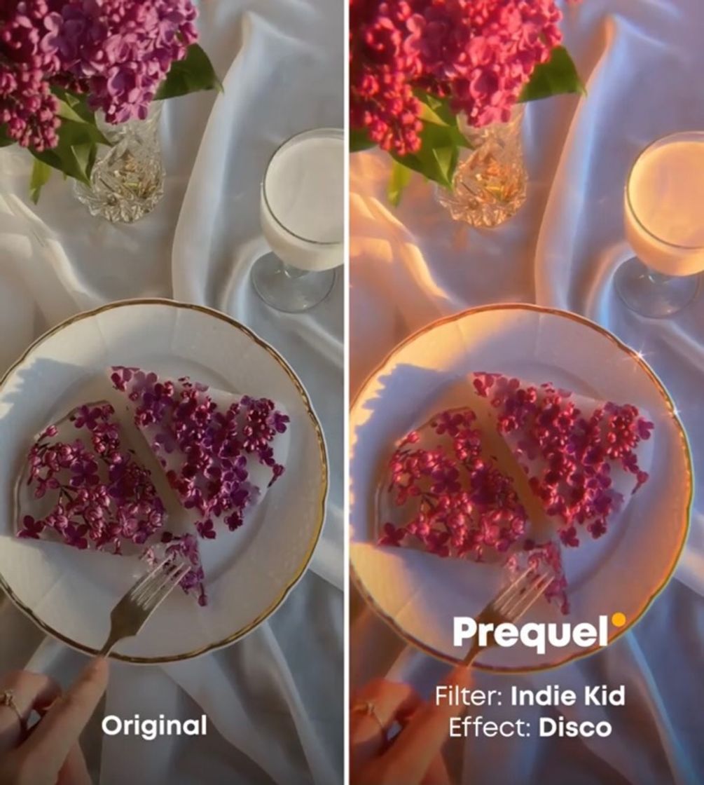 App PREQUEL: Aesthetic Editor