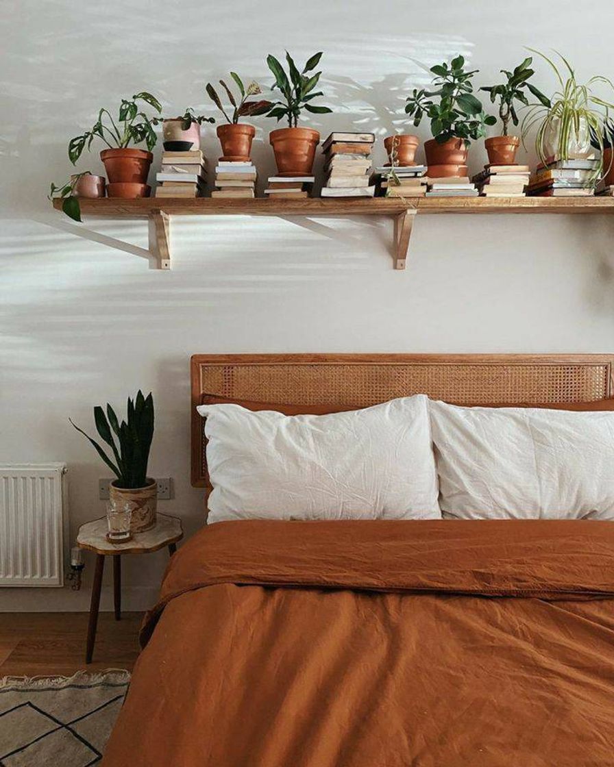 Fashion Quarto moderno com plantas