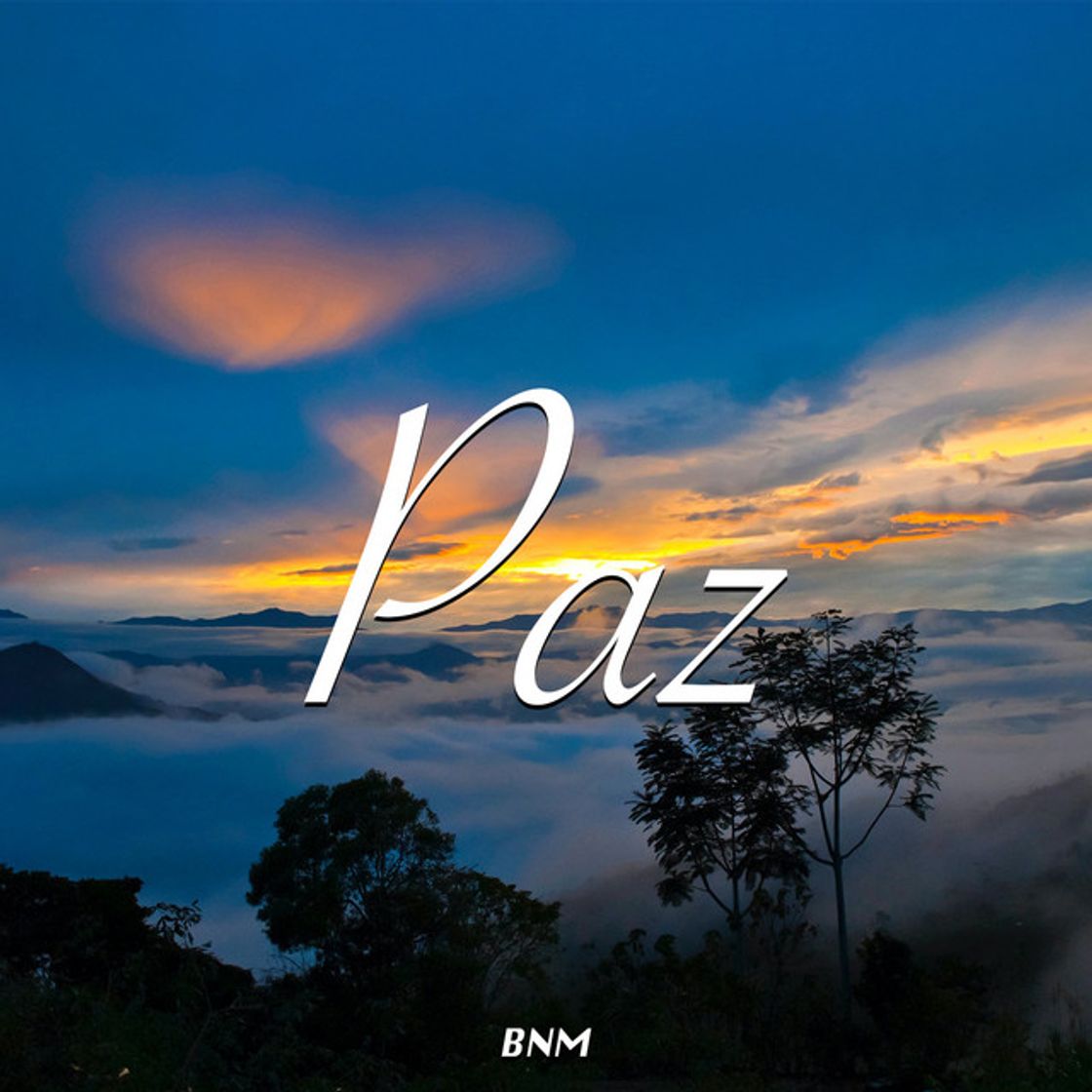 Music Paz