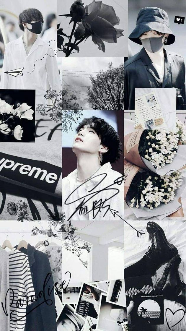 Fashion Wallpaper suga branco com preto