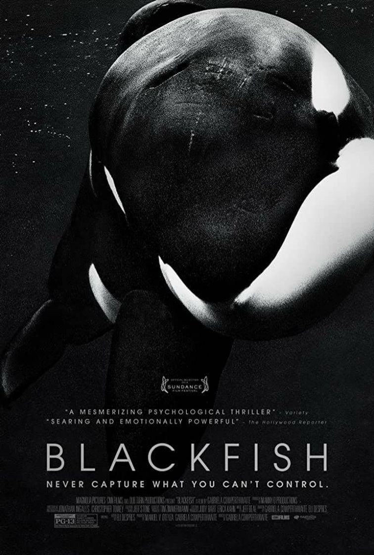 Fashion Documentário Blackfish Fúria animal - Dublado 