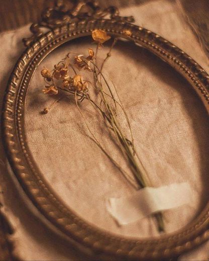 Aesthetic vintage💐🌾