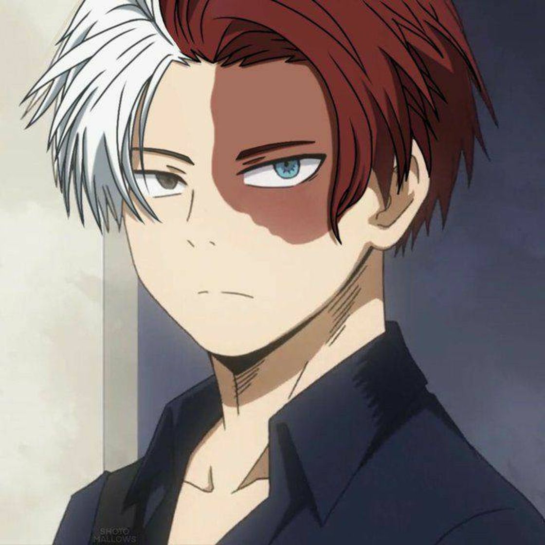 Moda Todoroki