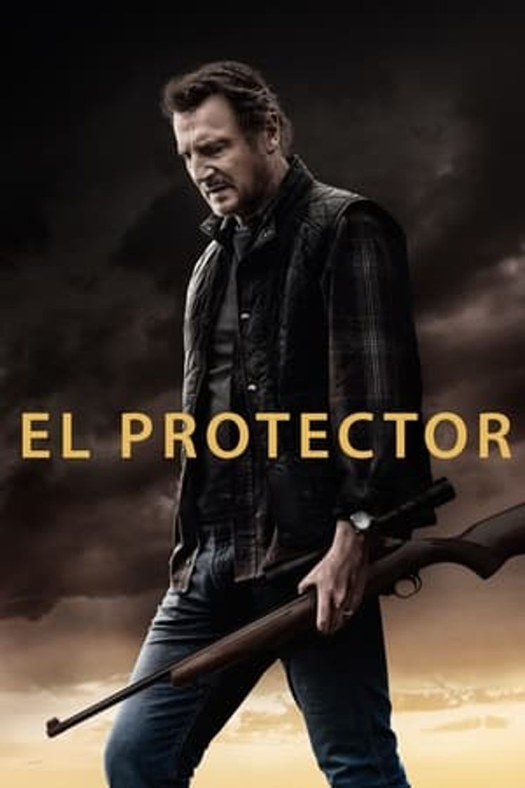 Película El protector