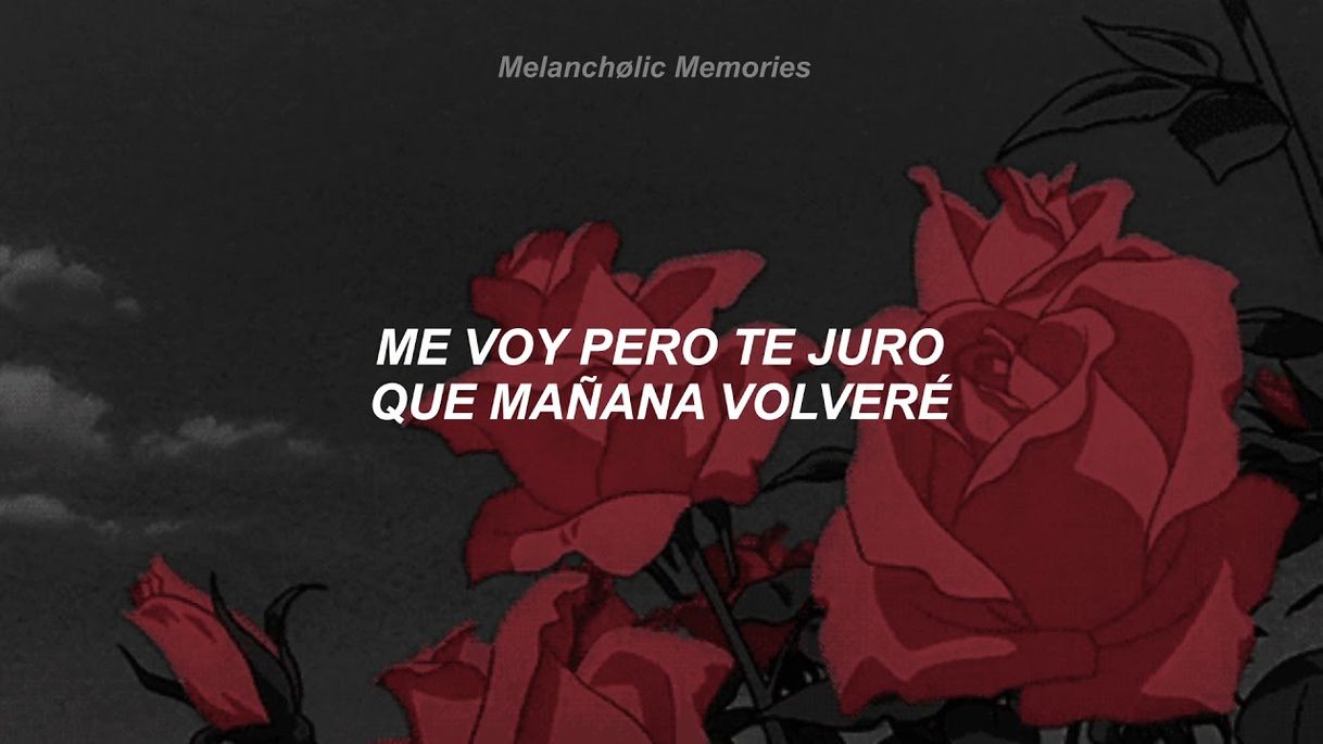 Canciones Un beso y una flor.