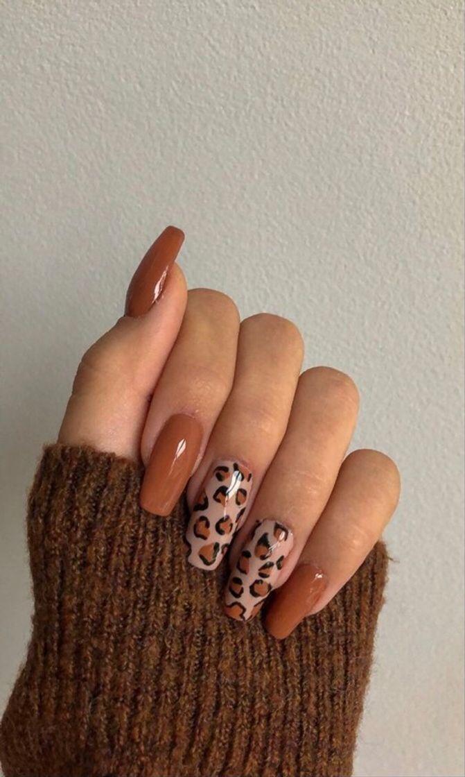 Fashion UNHAS