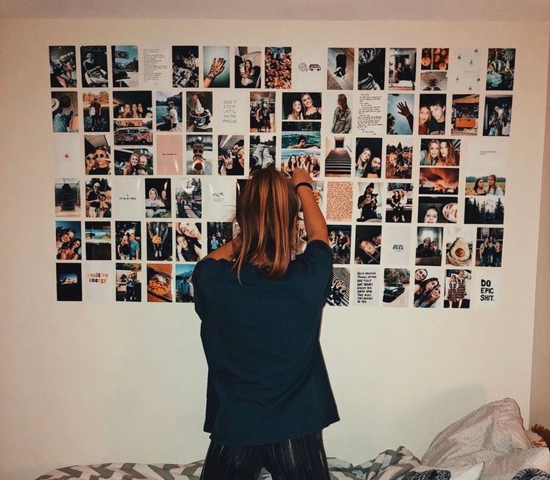 Social quarto