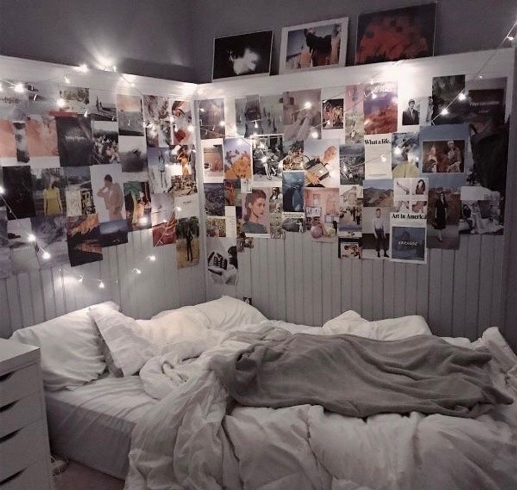 Social quarto