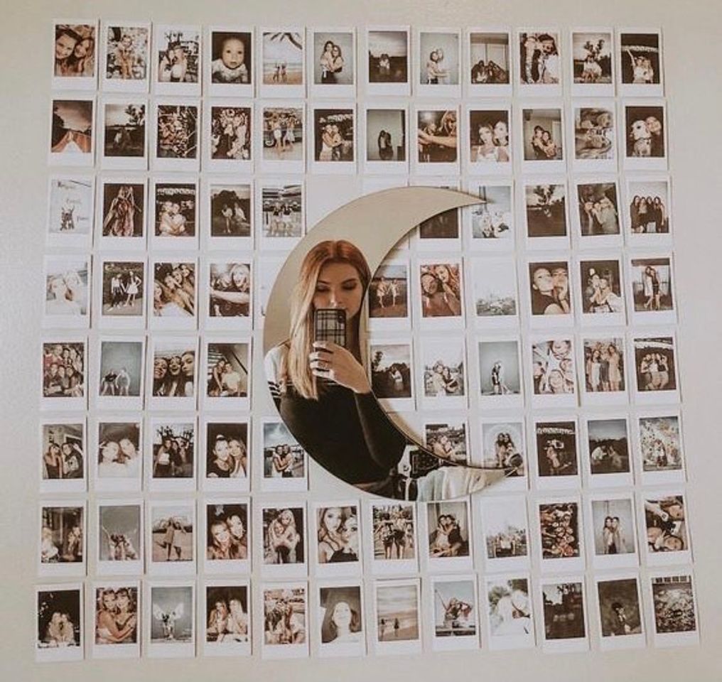 Social quarto