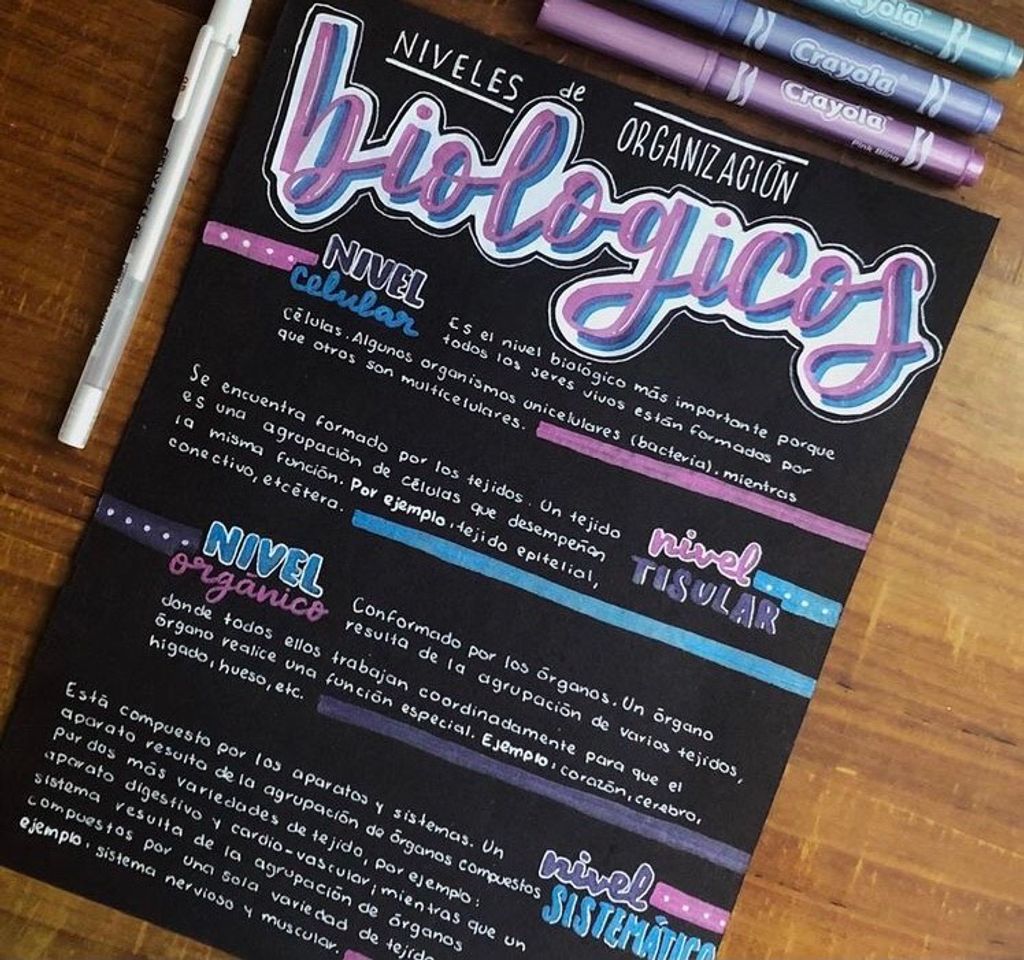 Social caderno de decoração 