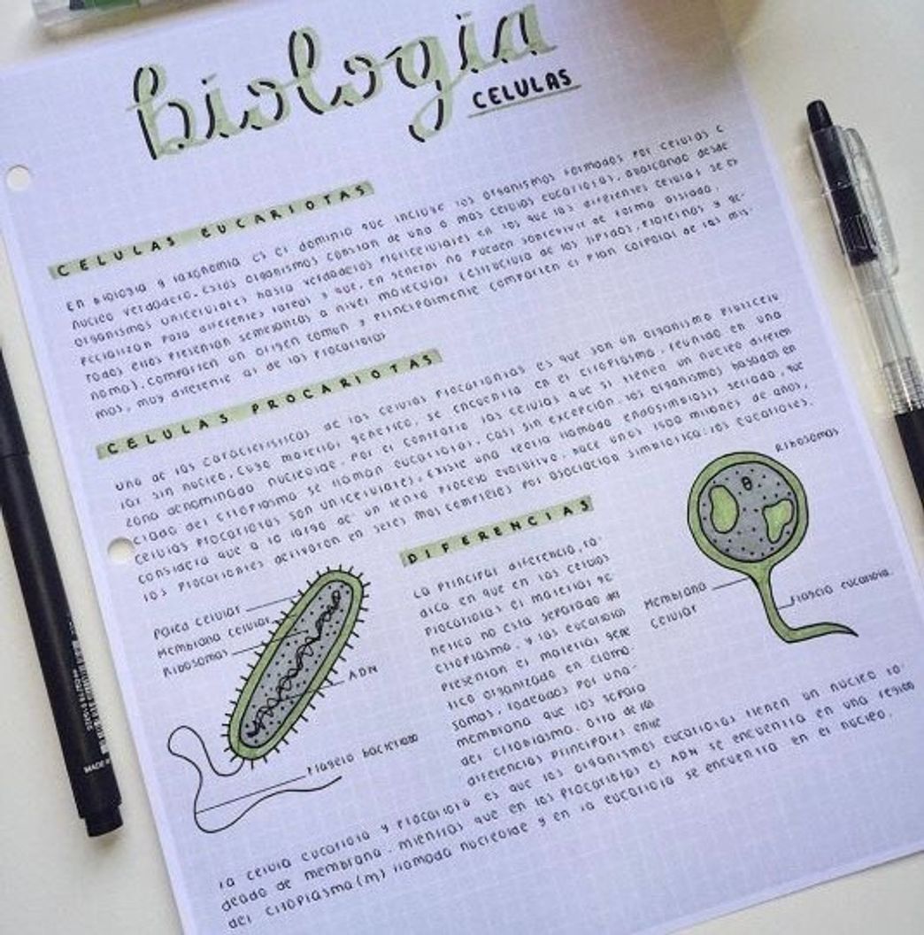 Social caderno de decoração 
