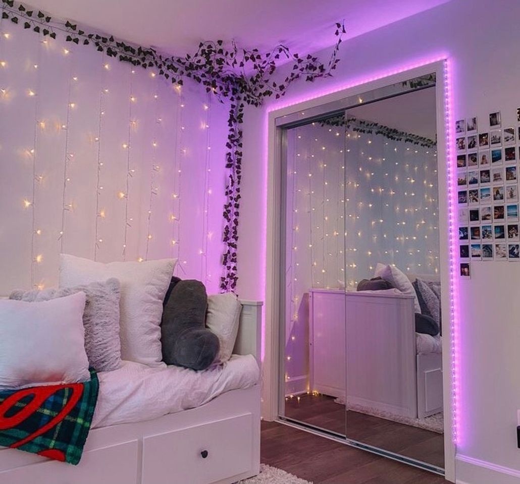 Social quarto