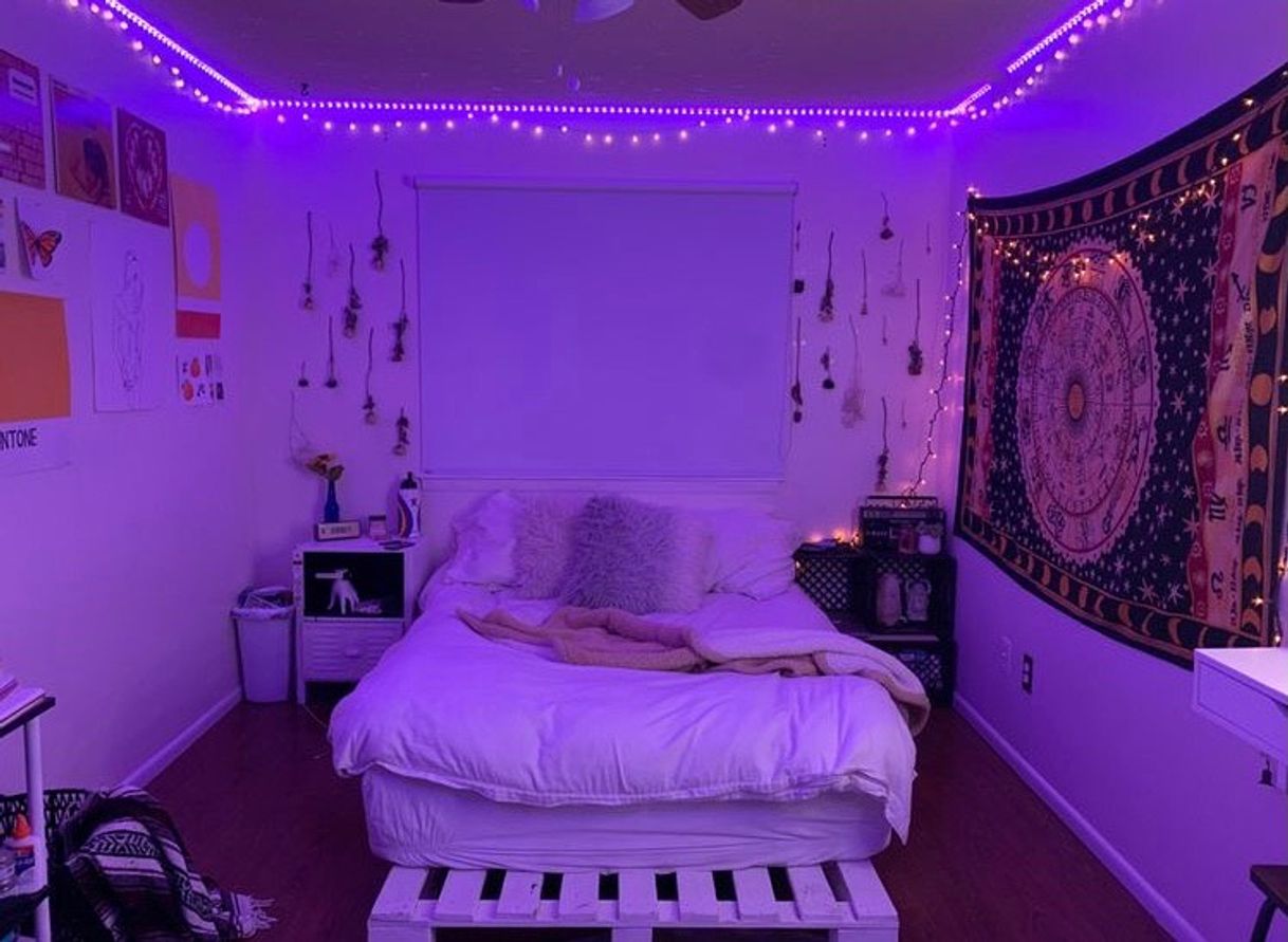 Social quarto 