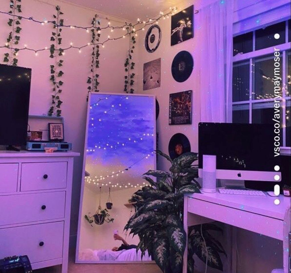 Social quarto 