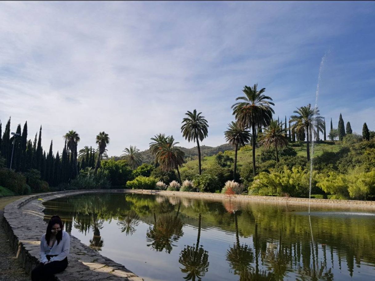 Place Jardín Botánico