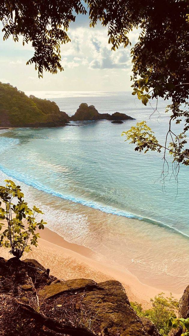 Moda Fernando de Noronha ❣️