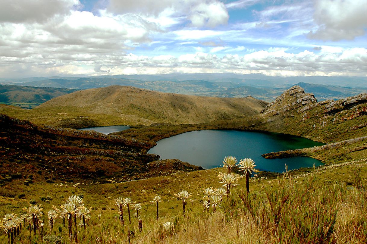 Place Parque Nacional Natural Chingaza