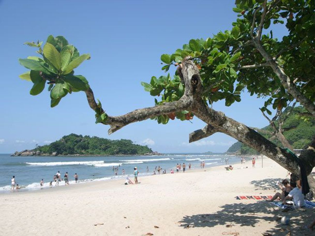 Lugar Praia Branca